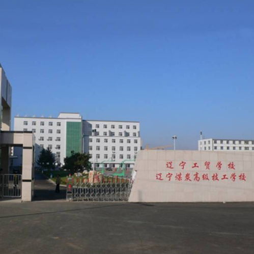 辽宁工贸