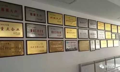 镁新闻 重庆科技技术研究院与飞哲工贸就镁合金新产品开发达成合作意向