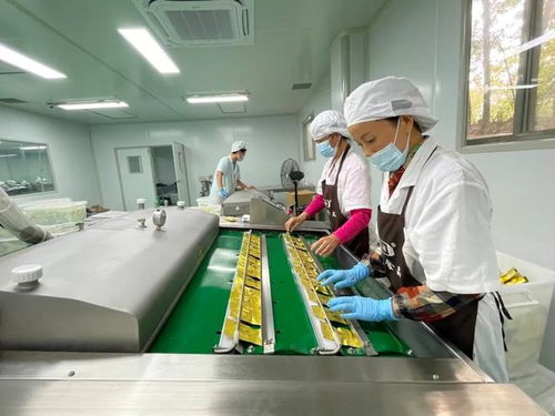 县区行 以奋斗姿态开创现代化灵秀青阳建设新局面