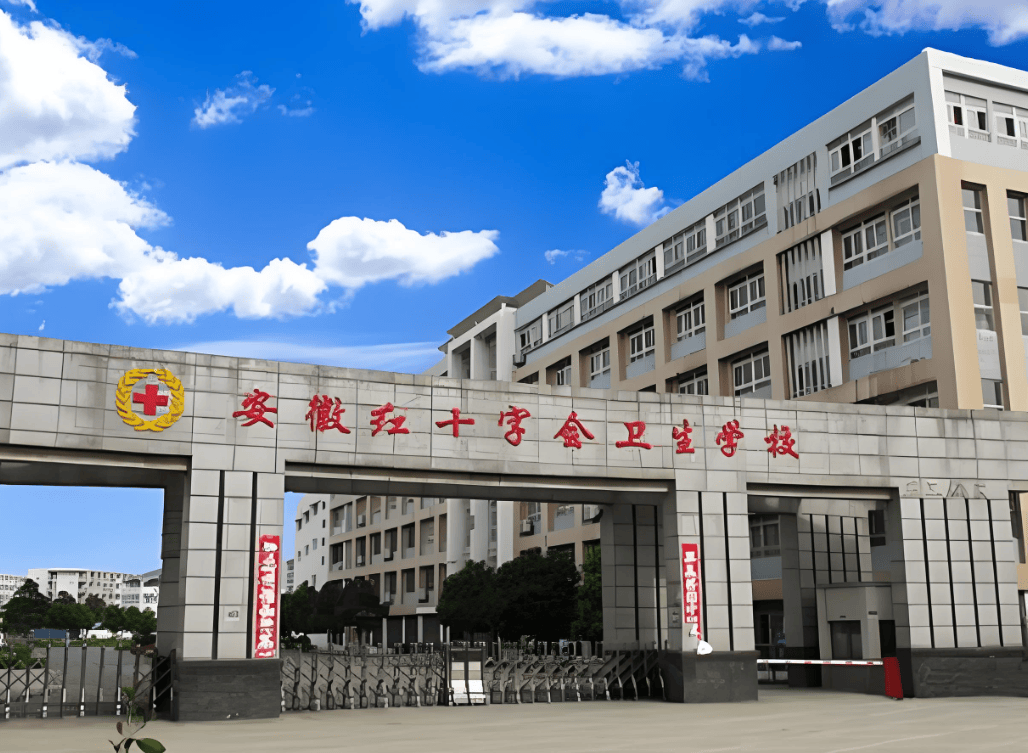 6月4日-5日,安徽工贸职业技术学院迎来了一系列别开生面的德国