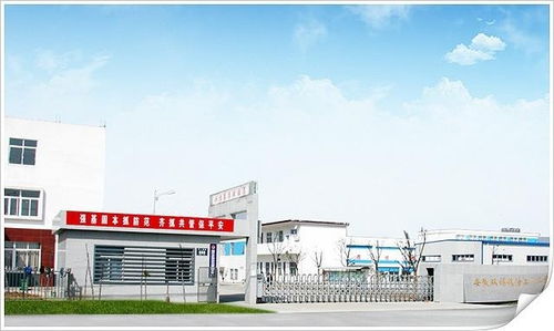 安徽双福粮油工贸集团