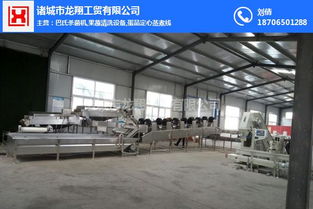 长洲区清洗机规格 菠菜清洗机规格 龙翔工贸机械公司 多图 高清图片 高清大图