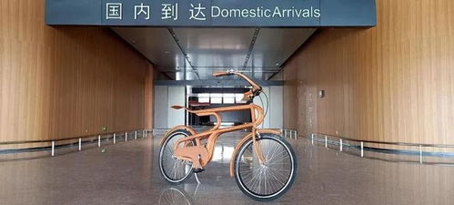 一根竹子的 72变